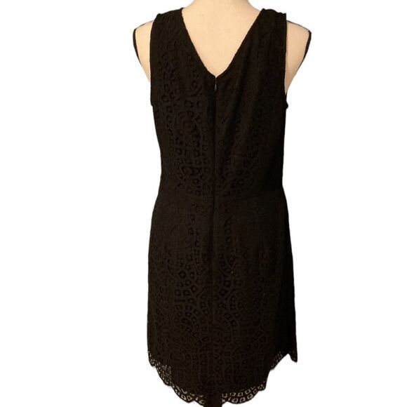 Black Lace Sleeveless Dress - Picture 6 of 10